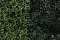 L168 Woodland Scenics Lichen Dark Green Mix Bulk Bag 165cu. in
