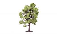 R7219 Hornby Beech Tree
