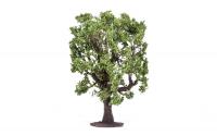R7220 Hornby Oak Tree
