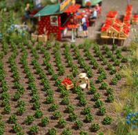 1265 Busch 40 Strawberry plants