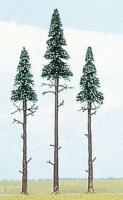 6118 Busch 3 X 130/170mm Scots Pine