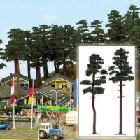 6143 Busch Pine Tree X 2