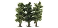 6919 Busch Trees 50mm