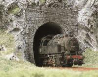 8190 Busch N Steam Tunnel Portal