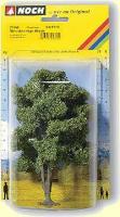 21660 Noch Acacia Tree