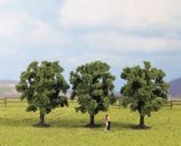 25110 Noch Plum Trees