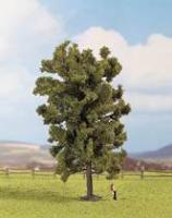 25880 Noch Lime Tree