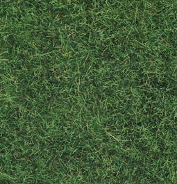 07102 Noch Static Wild Grass Light Green 50g with 6mm high fibres