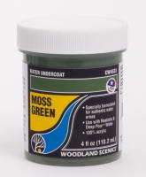 CW4533 Woodland Scenics Moss Green Water Undercoat