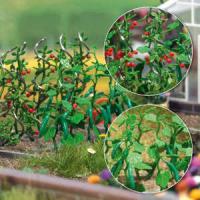 1214 Busch Cucumber & Tomato Plants