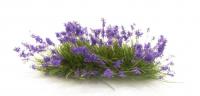 FS772 Woodland Scenics Violet Flowering Tufts