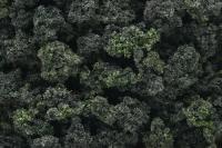 FC149 Woodland Scenics Bushes Clump Foliage Forest Blend